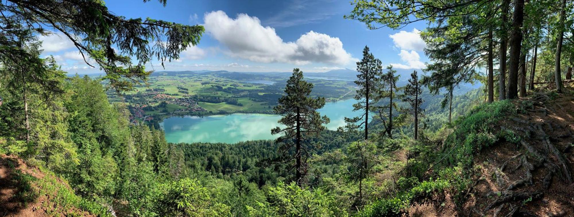 Alpenrose Appartements Nesselwang Dış mekan fotoğraf